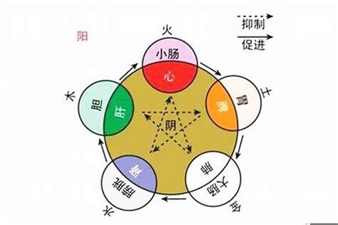 一 五行属什么|一的五行属什么,一字的五行属性,一的寓意